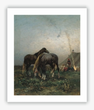 Arab Camp - Photography