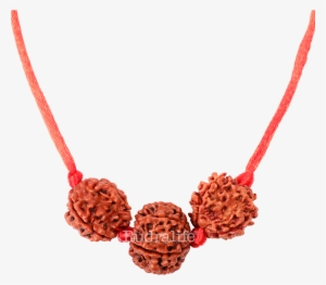 Saraswati Bandh A - Png Rudraksh Mala Hd