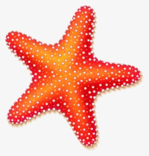 Starfish Clipart Best - Clip Art