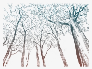 “i Started Mumbling Away About Doing It,” He Laughed - Grove