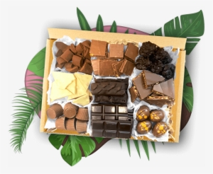 Discover Kiwi Chocolate - Chocolate