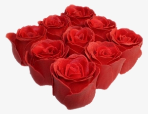 More Bath Petals - K-ancient Bath Roses - 9 Roses In Gift Box (rose)
