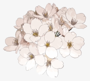 Tumblr Ship Transparent - Express Shipping For Jasmine