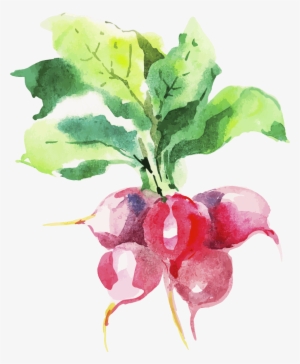 Dig In - Watercolor Painting