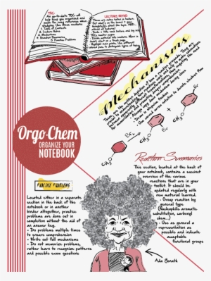 Orgo Notebook Png - New York City