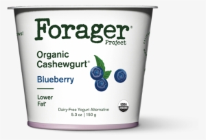 Blueberry Cashewgurt®