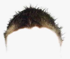 Hair , - Brendan Fraser Just Hair