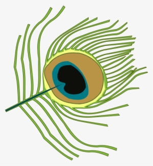 Krishna Clipart Peacock Feather - Peacock Feather Clip Art