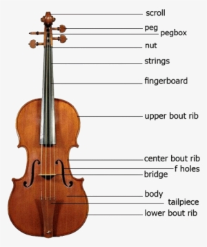 Violin Parts - Violin Parts In English - 500x500 PNG Download - PNGkit