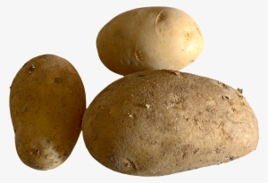 Fresh Potato Png Image - Portable Network Graphics