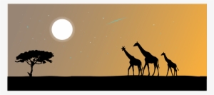 Giraffe Animal The Silhouette Safari Afric - Safari