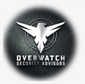 The Overwatch Eagle - Boeing 787 Dreamliner