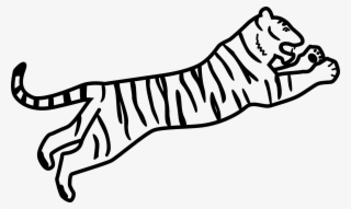 Drawing White Tiger Siberian Tiger Bengal Tiger Coloring - Bengal Tiger Easy Drawing