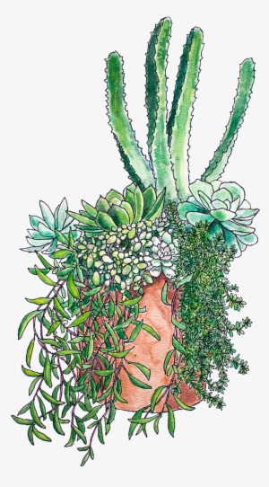 Succulent Arrangement Print - Art