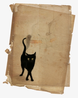 Colored Pencil - Black Cat