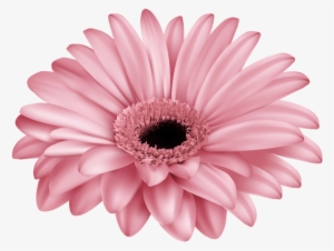 Clip Transparent Yellow Png By Thy Darkest Hour On - Clip Art