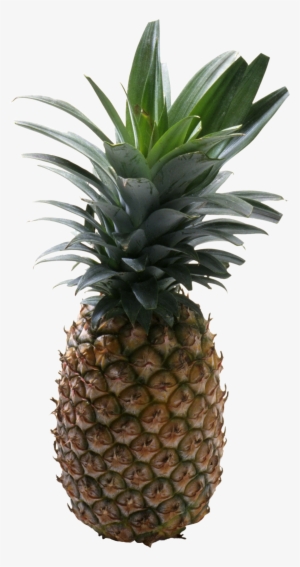 Pineapple Without Background