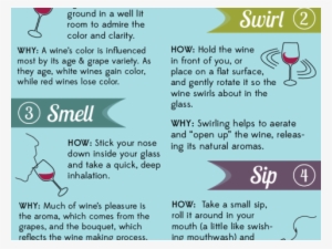 The 5s Tasting Method - Method Of Wine Tasting