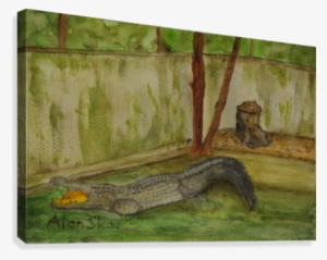 Art - Crocodile - - Painting