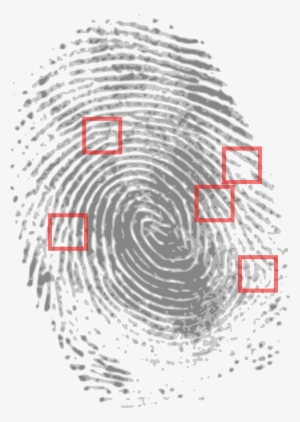 How To Set Use Fingerprint Clipart