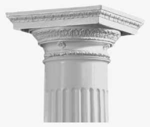 Roman Doric Ornamental - Ornamental Plant