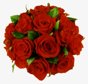 6 - Flower Buke Image Png