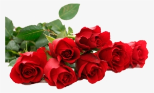 Flores Eencontradas En La Web - Bridesmaid Gift, Pearl Necklace, Bridal Jewelry, Gift