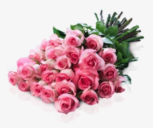 Beso De Marylin - Jarron Con 25 Rosas Rosas