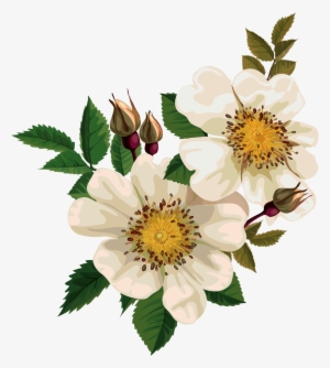 Ramo De Rosas - Clip Art