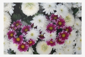 Ramo De Flores - Bouquet