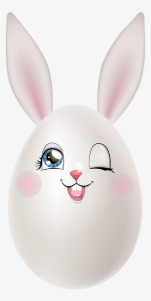 0, - Domestic Rabbit