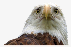 Keanu Reeves Sad Cutout - Rest In Peace America