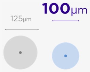 Small Dia - Fiber - Fiber