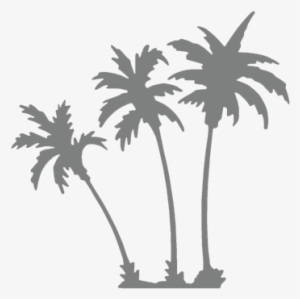 Icons Palm Trees Grey - Grey Palm Tree Png