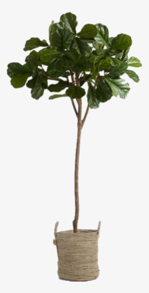 6 Foot Faux Fiddle Leaf Fig Tree