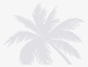 Outdoor Display - Sissylittle Palms Wall Decal