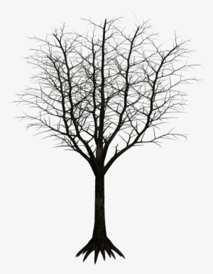 Free Download Monochrome Photography Clipart Twig Black - Tree