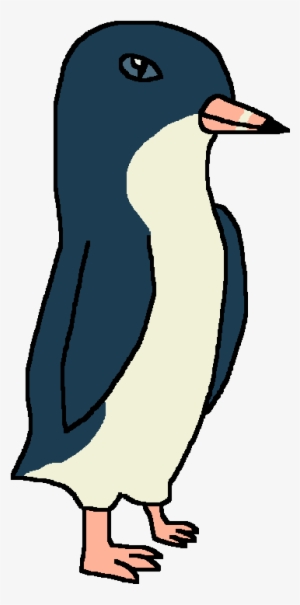 Little Blue Penguin - Wiki