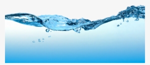 Fluids And Electrolytes - The Easy Guide To Understand