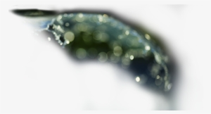 Z Wave Leak Sensor - Macro Photography