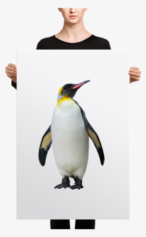 Emperor-penguin Canvas - Black Mask Red Pied French Bulldog Canvas