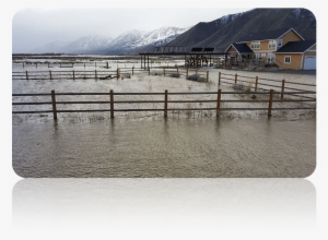 Nv Floods - Carson Valley Flooding 2017
