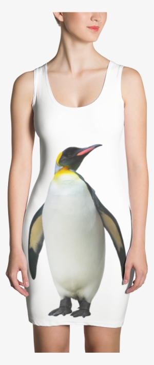 Emperor-penguin Print Sublimation Cut & Sew Dress