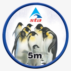 Emperor - King Penguin