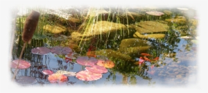 Counselling Services For Adults - Psychotherapy