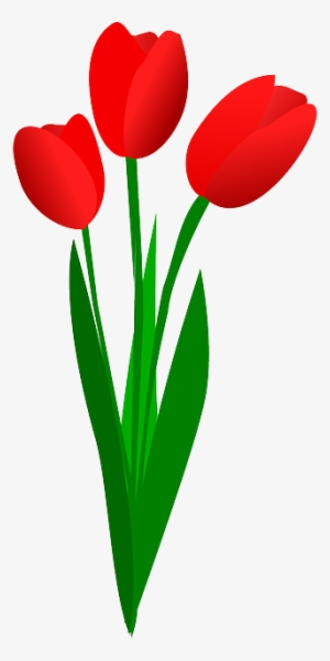 Stem Clipart Bunga - Tulip Flowers Clip Art