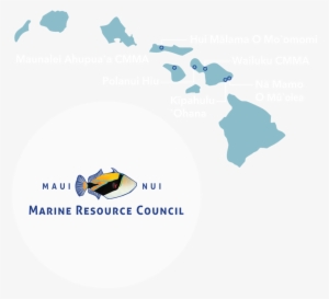 Maui Nui Marine Resource Council Is A Maui-based Nonprofit - Hawaiian Islands Map Outline