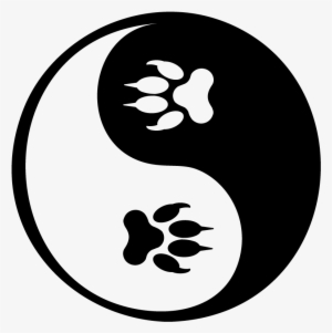 Paw