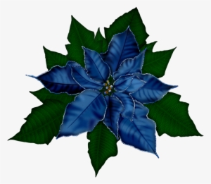 Christmas Flowers - Poinsettia .png