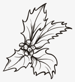 Christmas Flower Png Transparent - Portable Network Graphics
